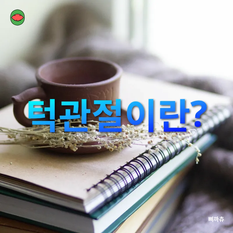 턱관절 건강_1