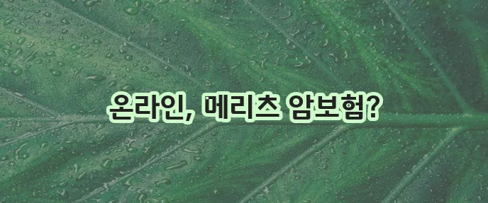 편리한 온라인으로 메리츠화재 암보험 준비하세요!