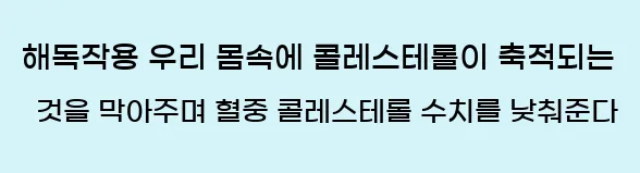  1. 해독작용 우리 몸속에 콜레스테롤이 축적되는 것을 막아주며, 혈중 콜레스테롤 수치를 낮춰준다.