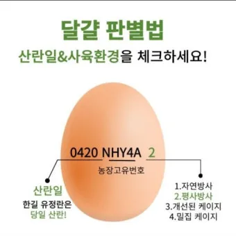 계란에 적힌 번호가 정확히 뭘까 계란 난각번호 4번 제대로 알고 먹고 있나요_5