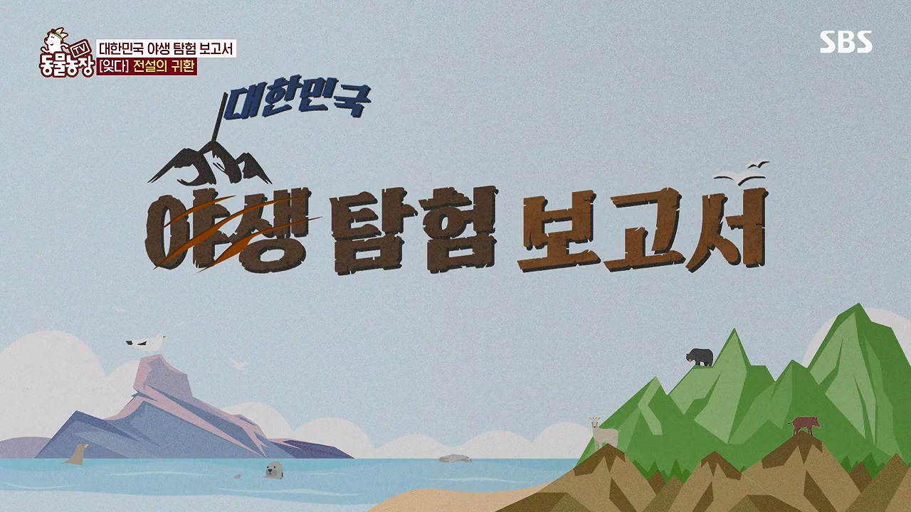 TV 동물농장.E1181.240722p-NEXT.mp4_20240721_165554.226.jpg