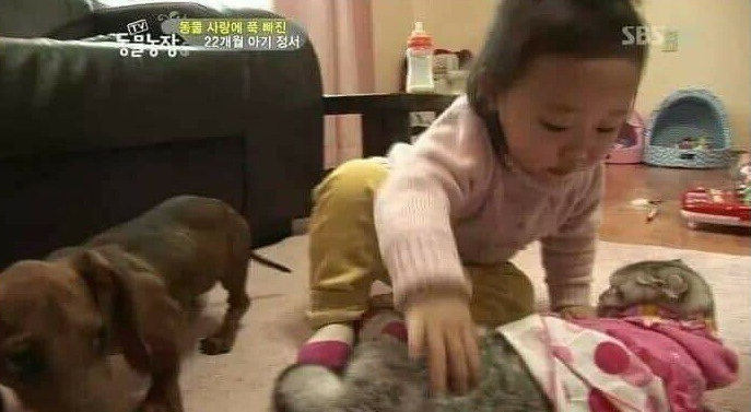  극한직업 갑