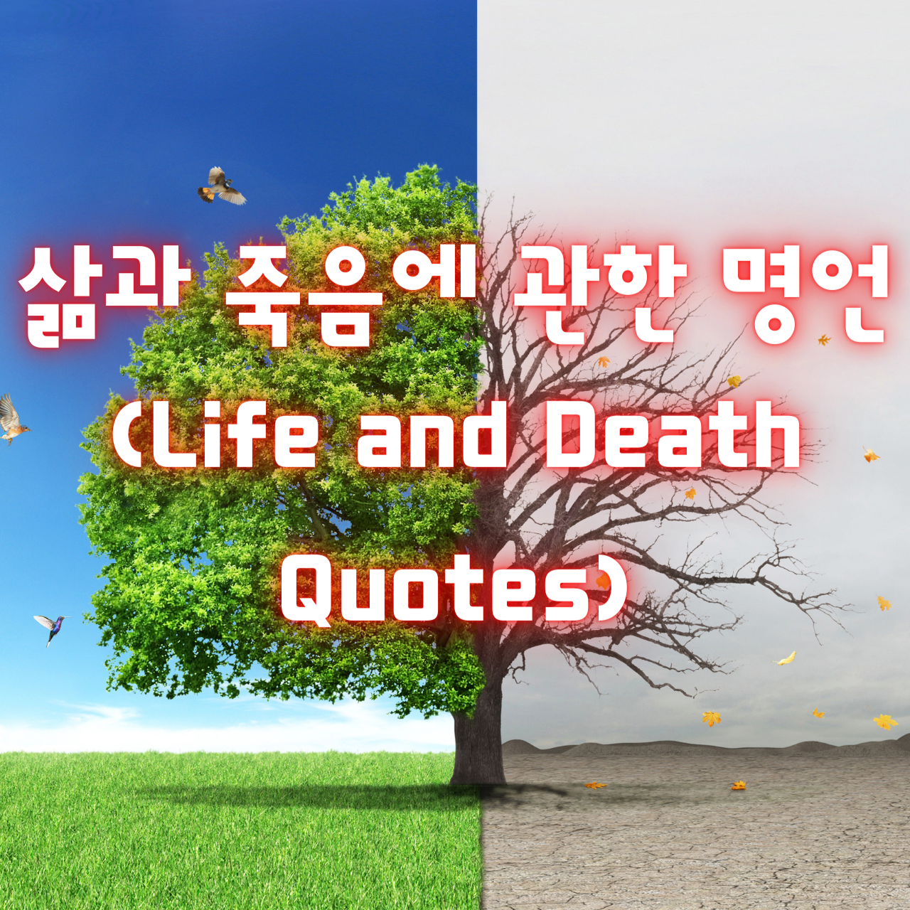 삶과 죽음에 관한 명언 (Life and Death Quotes)