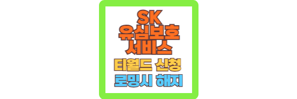 sk 유심보호서비스 티월드
