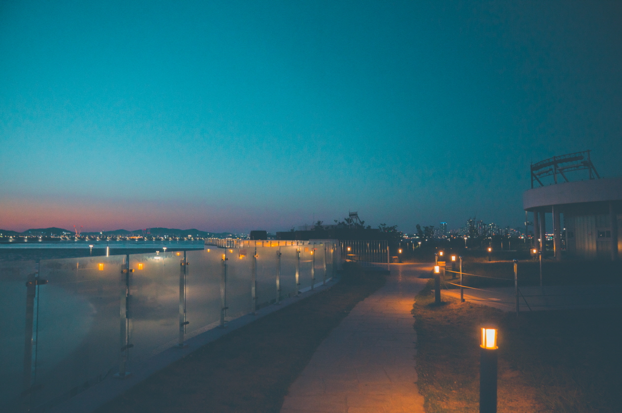 전망대의 밤