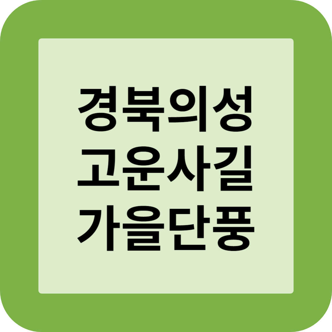 경북의성 고운사길 가을단풍