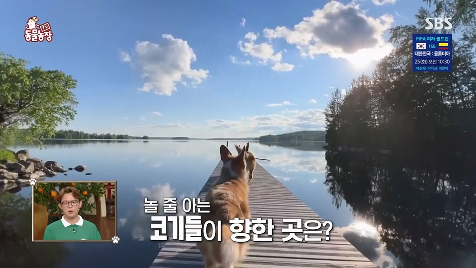 TV 동물농장.E1129.230716p.H264-F1RST.mp4_20230716_183613.445.jpg