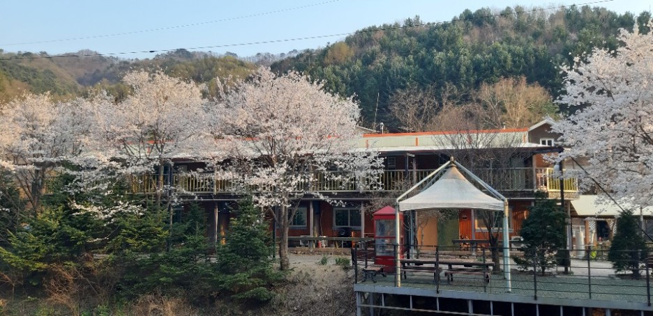  국내 강원도 힐링하러 가자! [그리운 언덕 펜션] 홍천 춘천 비발디 파크 숙소 수영장 벚꽃 여름휴가추천
