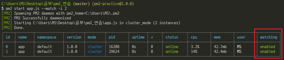 nodejs-pm2