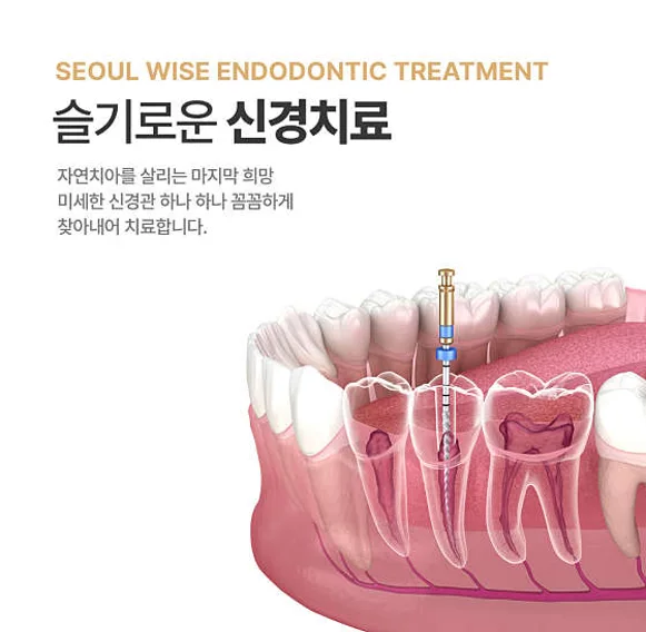 서울슬기로운치과의원