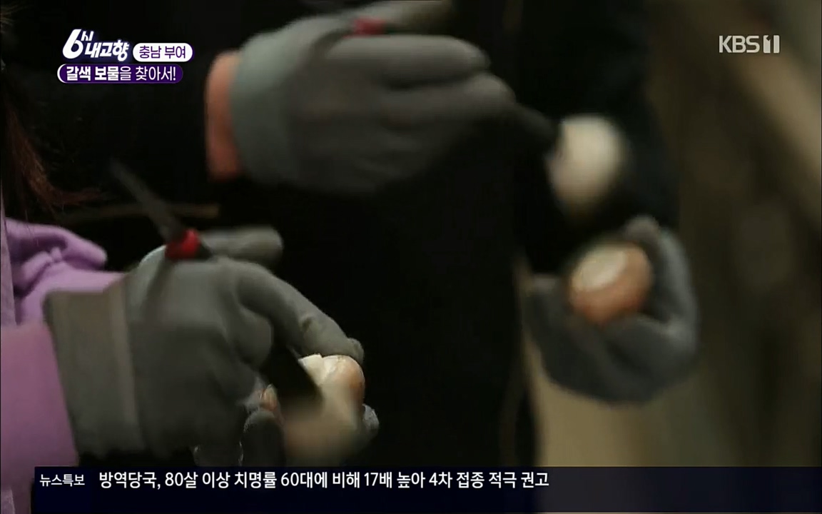 6시 내고향.E7512.220416p.H264-F1RST.mp4_20220502_185456.547.jpg