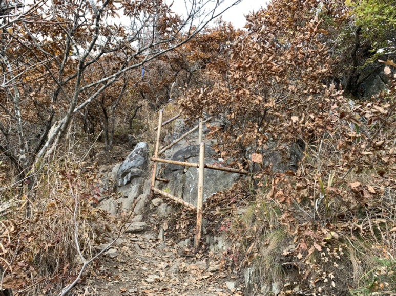 오서산 최단코스 [BAC 100대명산 / 보령 오서산 최단코스] 오서산자연휴양림 ~ 월정사 32