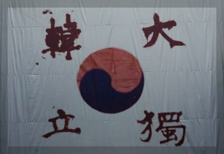  삼일절에 일장기, 소녀상 철거시위에서도 일장기-밝혀진 정체