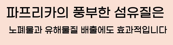  파프리카의 풍부한 섬유질은 노폐물과 유해물질 배출에도 효과적입니다