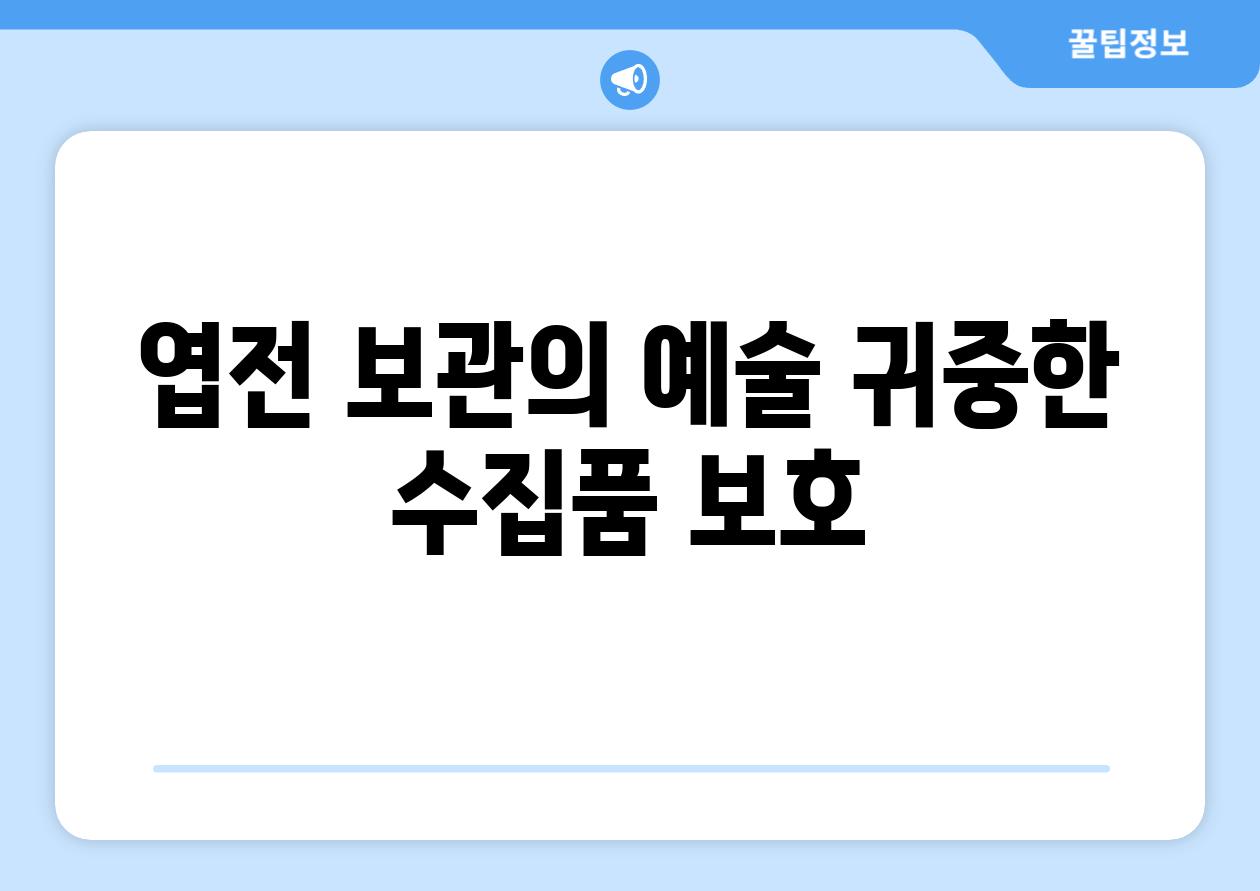 엽전 보관의 예술 귀중한 수집품 보호