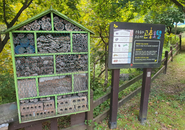곤충호텔