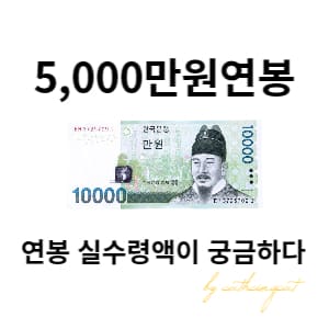 연봉 5000 실수령액이 궁금하다