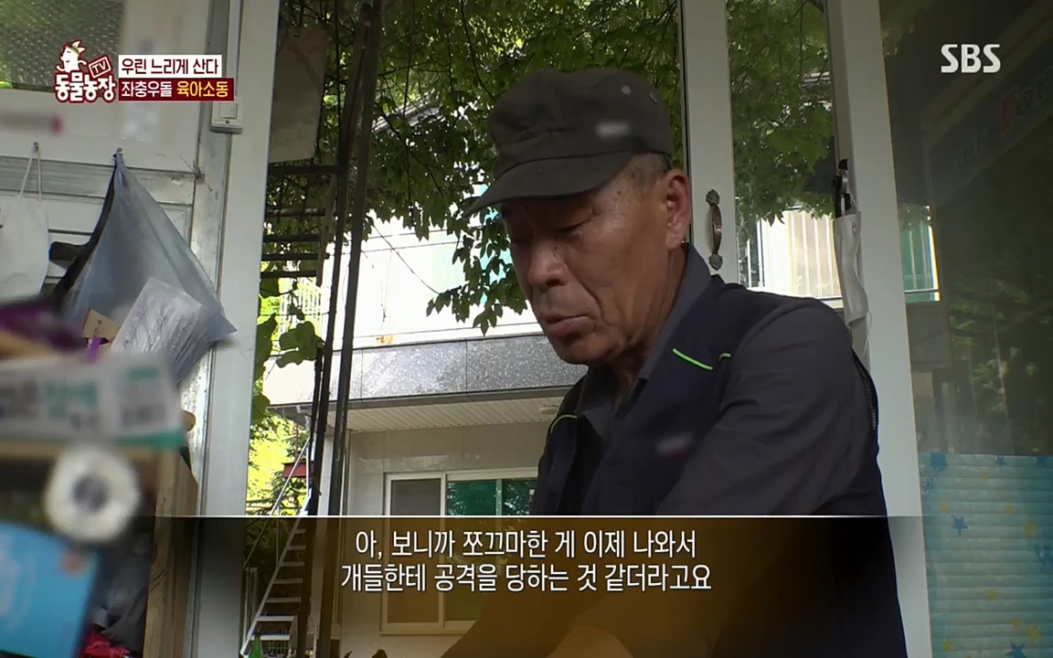 TV 동물농장.E1076.220704p.H264-F1RST.mp4_20220703_175555.946.jpg