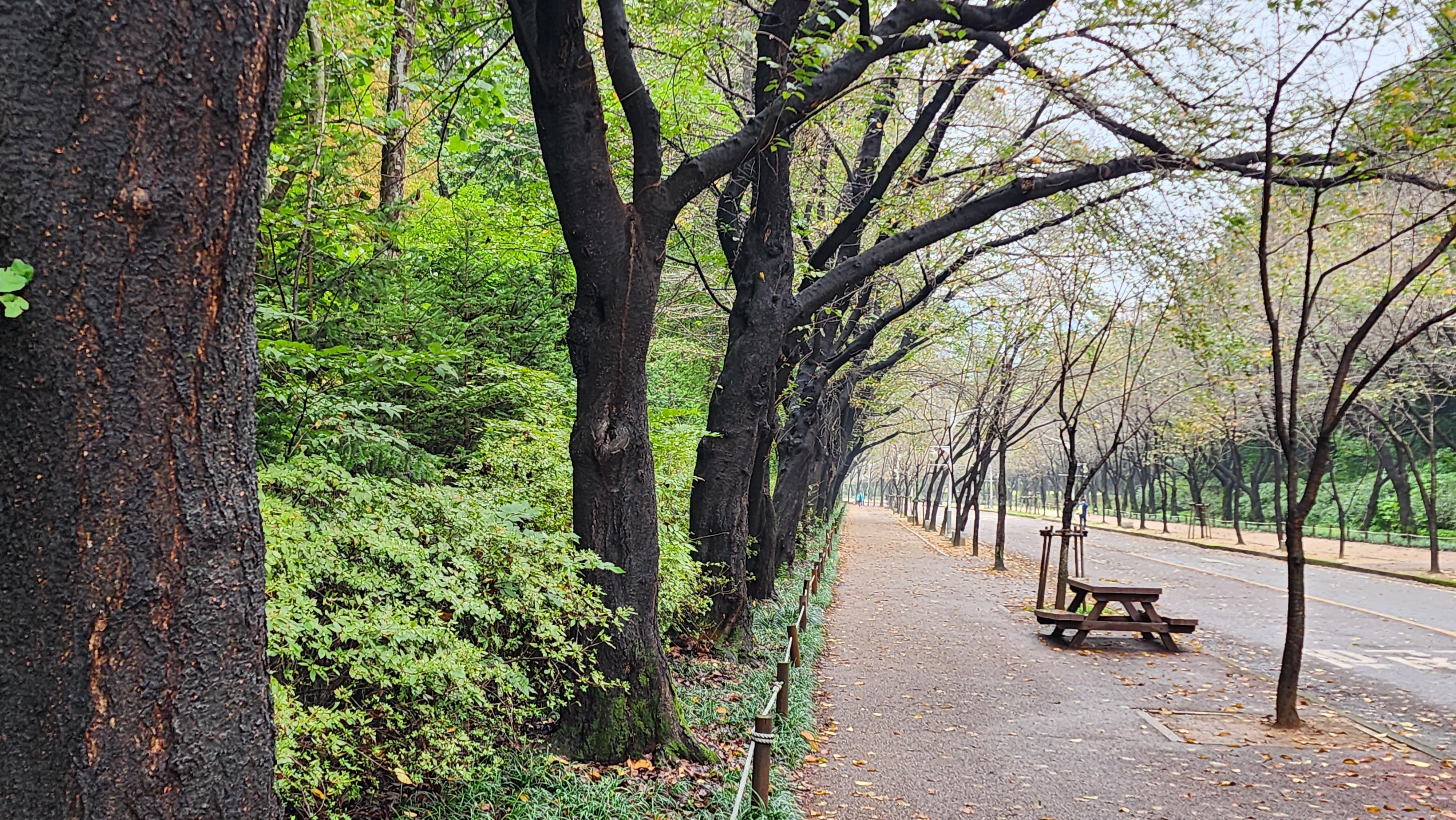  인천대공원 평일 걷기..