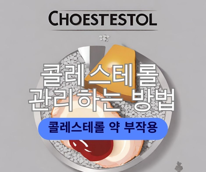  콜레스테롤 관리 방법을 알아보자