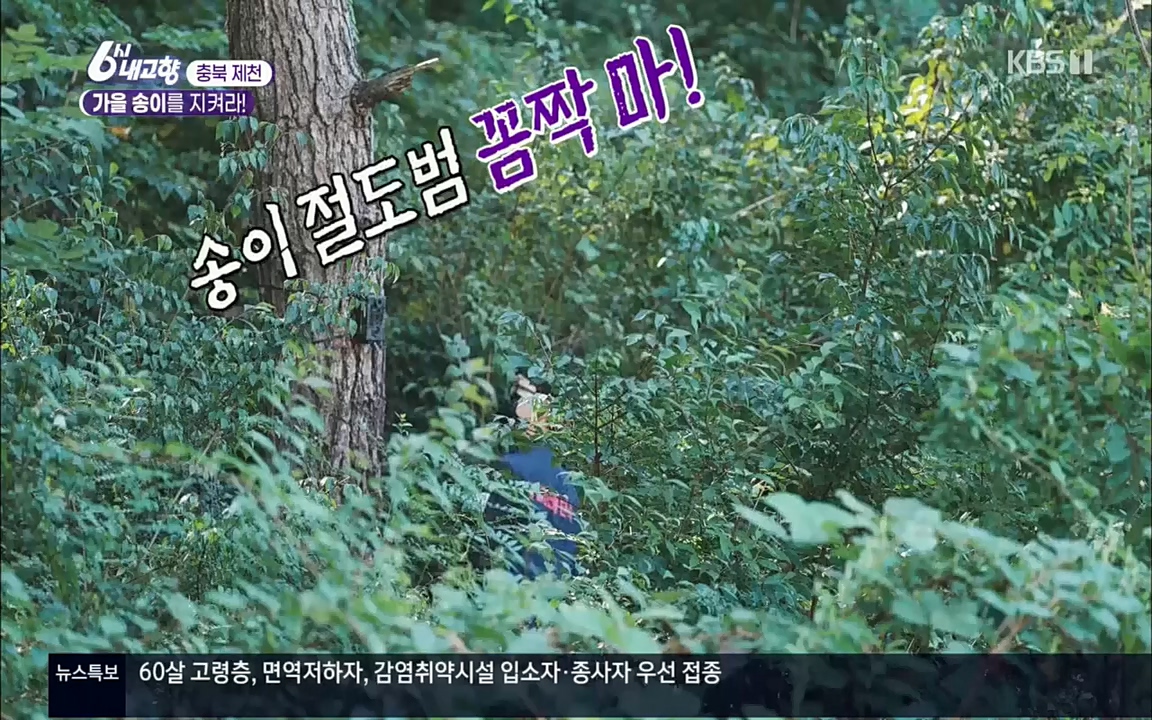 6시 내고향.E7630.221004p.H264-F1RST.mp4_20221004_213252.673.jpg