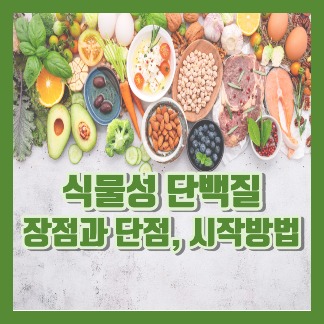 식물성 단백질