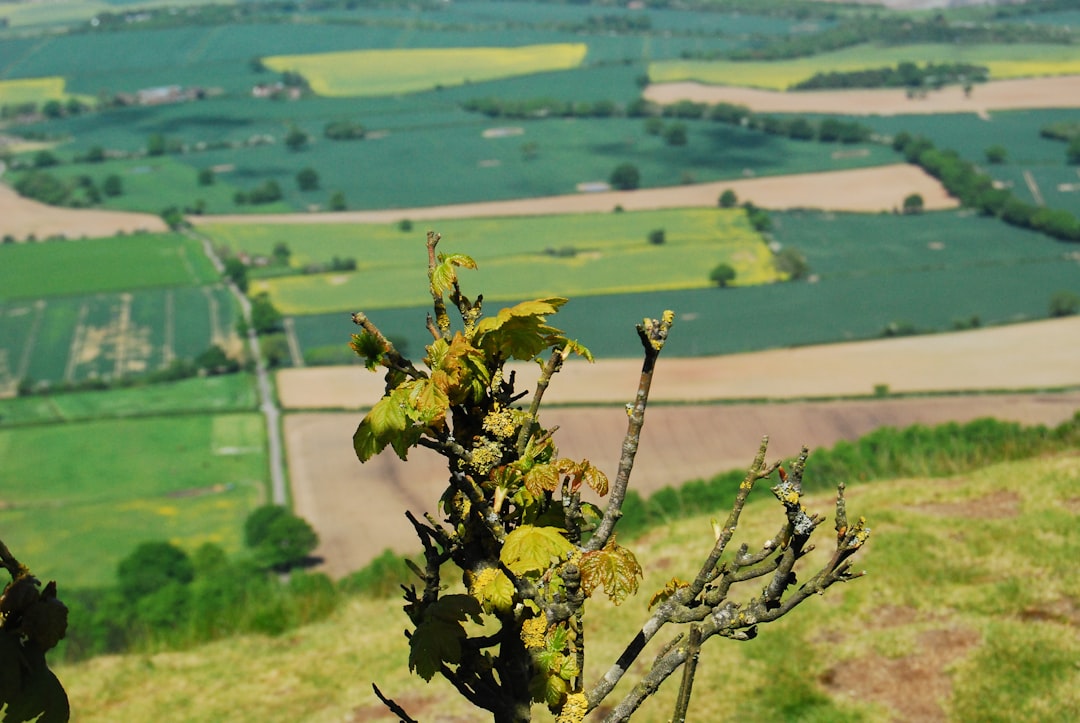 viewpoint