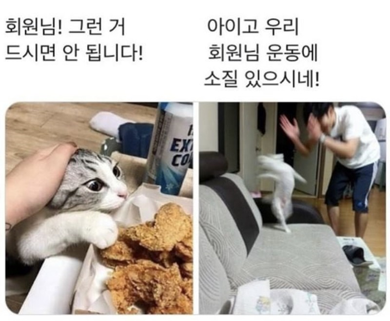  PT 받을 때 맨날 듣는 말