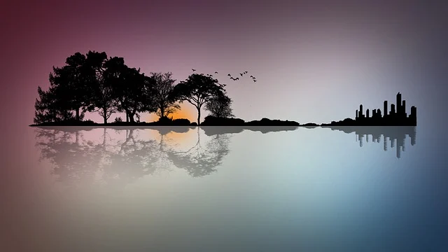 기타모양 숲