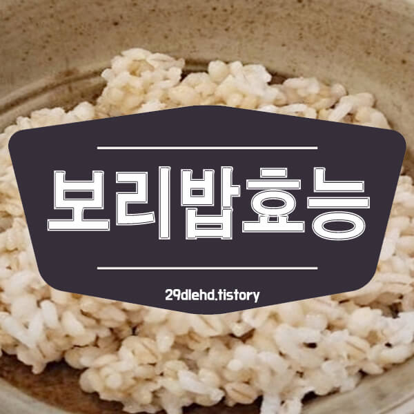 놋그릇에-담겨진-보리밥