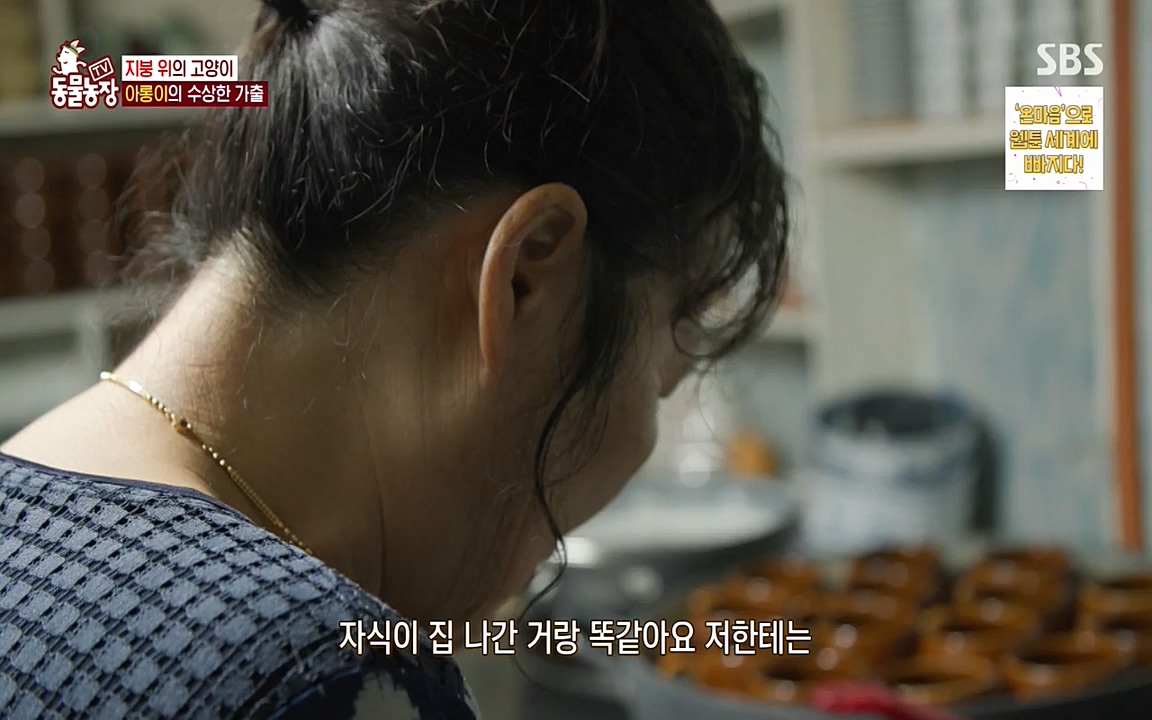 TV 동물농장.E1079.220725p-NEXT.mp4_20220724_151931.118.jpg