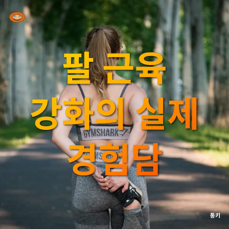 팔 운동 루틴_3