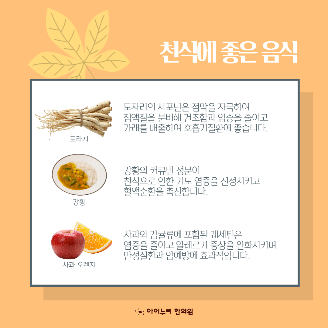 알레르기 기관지 천식에 좋은 음식을 알아봅시다.