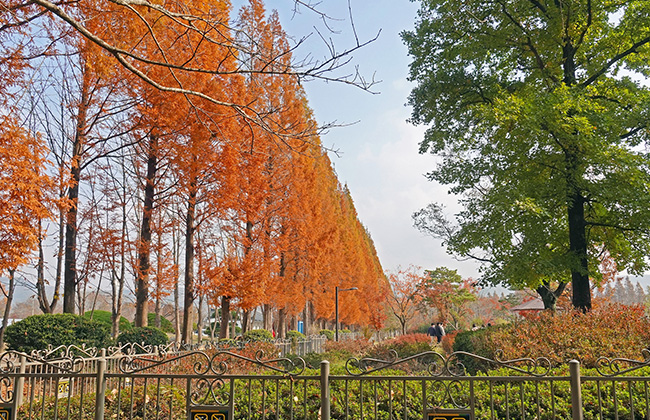 경주 천년의 숲 정원
