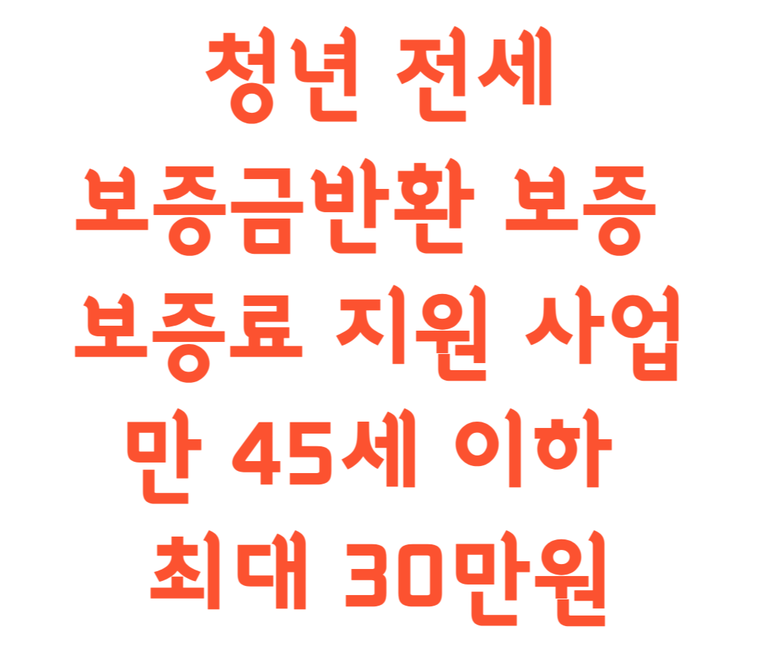 청년전세 보증금반환보증 보증료 지원 사업 시작