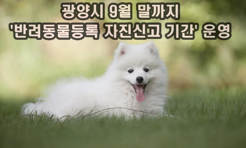  전남 광양시 9월 말까지 '반려 동물등록 자진 신고 기간' 운영 중