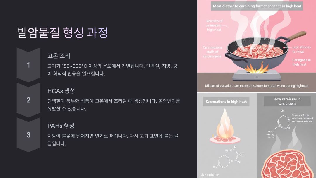 고온 조리 시 일어나는 화학적 변화