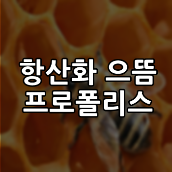  호주 프로폴리스 효능에 대해서 얼마나 알고계신가요