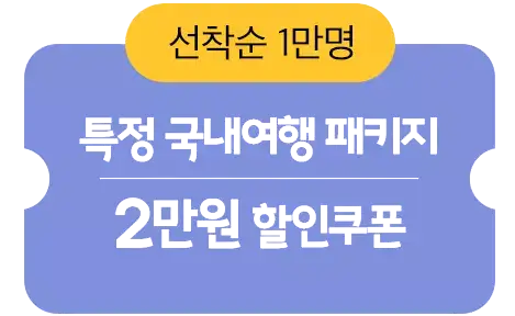 국내 여행 패키지 2만원 할인쿠폰