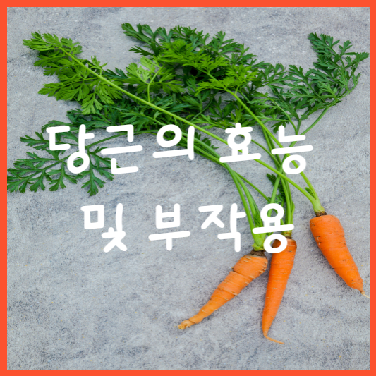  당근의 효능 및 부작용