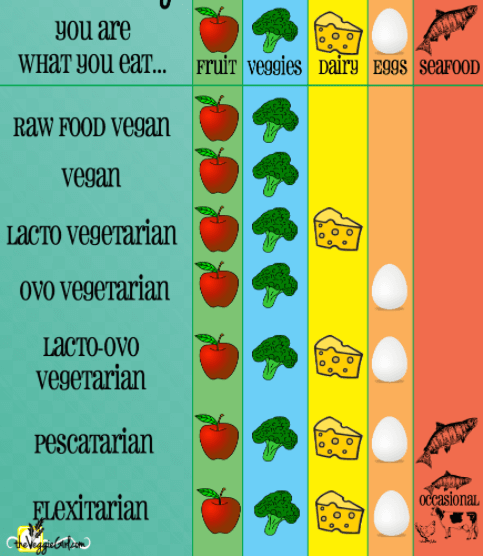 채식주의자 종류