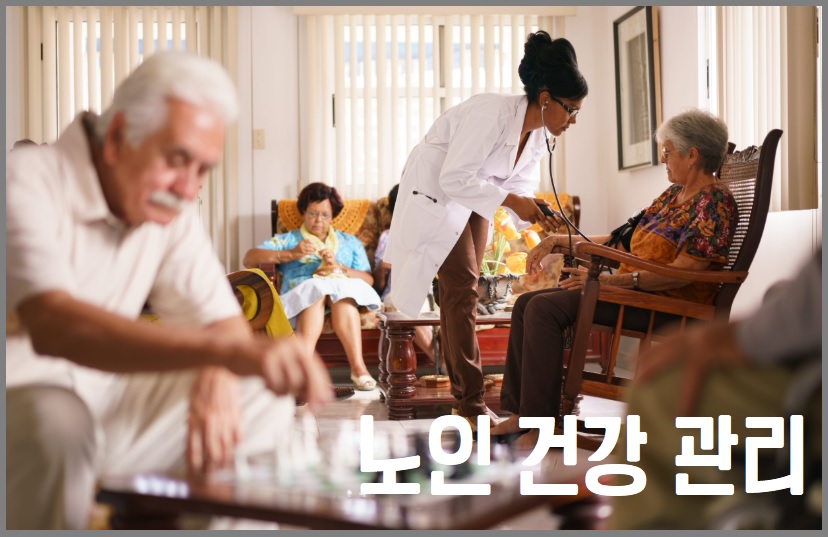 노인 건강 관리 총정리: 활력 넘치는 노년의 비결