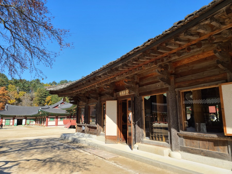 백담사 단풍 멋지다 ( 셔틀버스안내 ) 강원도 인제 여행 / 설악산 45