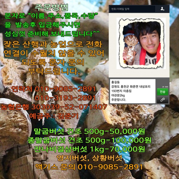 야생버섯 야생 말굽버섯 판매 2