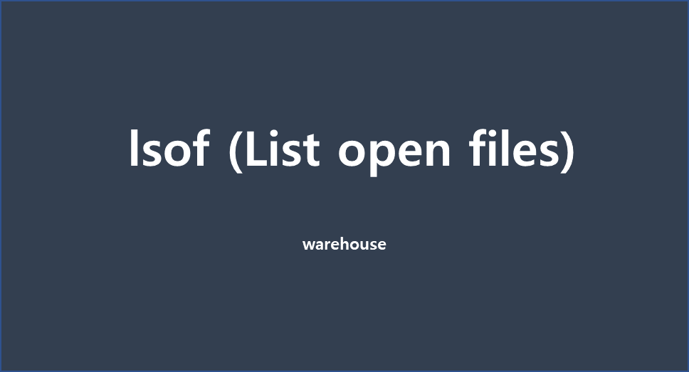  [Linux] lsof 명령어의 개념 / 사용 방법에 대해