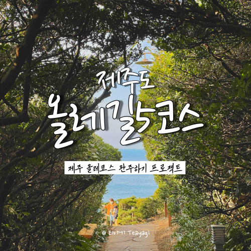  제주 트레킹 여행 | 제주도 올레길 5코스(남원 - 쇠소깍) 완주 후기 (feat. 초보자 올레길 추천코스)