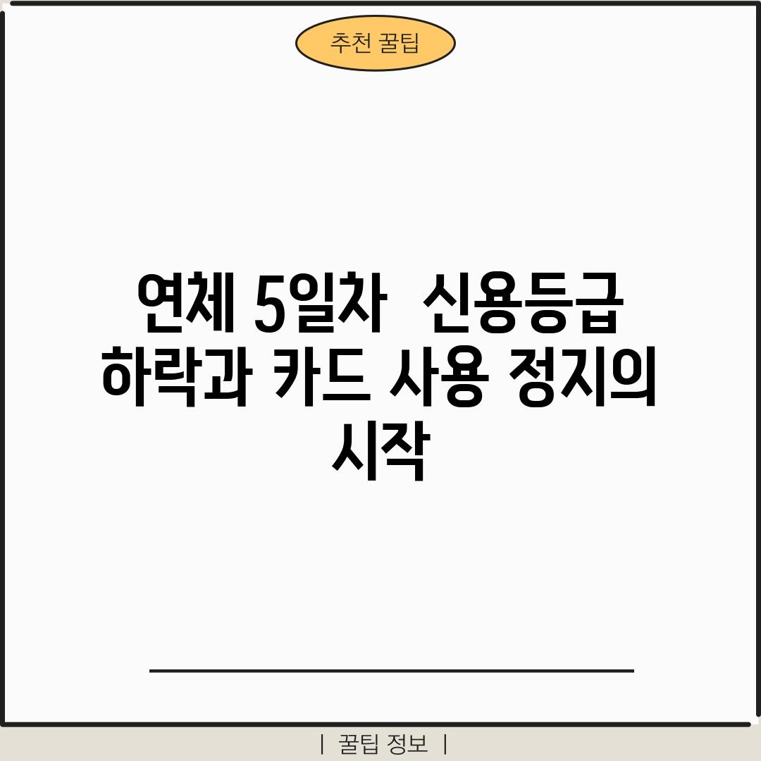 연체 5일차:  신용등급 하락과 카드 사용 정지의 시작