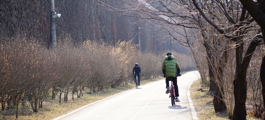 자전거길 왼쪽에 이어지는 빼곡한 무궁화꽃동산길, 달리고 있는 두 대의 자전거