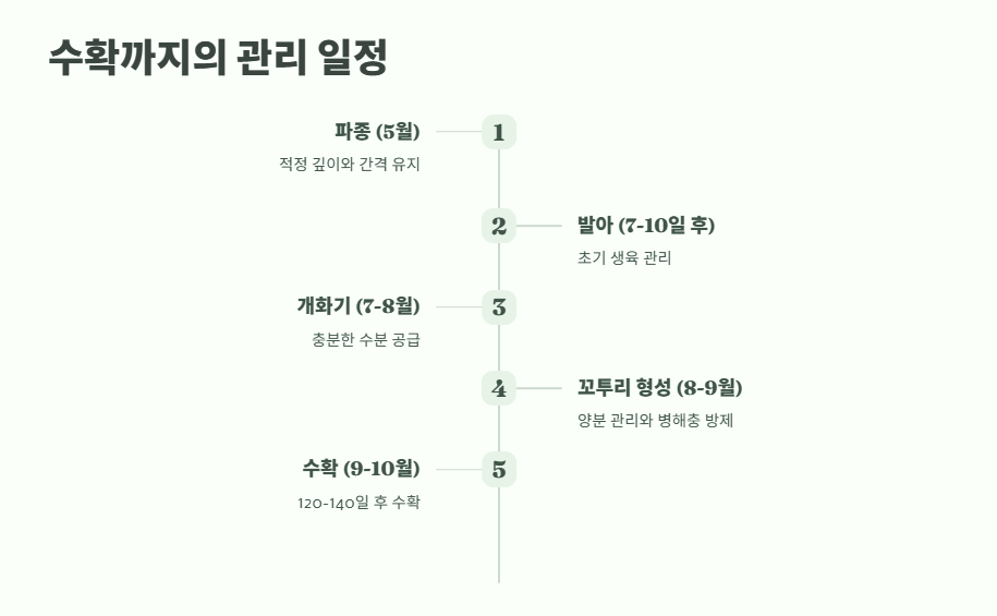 서리태 파종시기 16