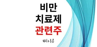 비만치료제 대장주 관련주 TOP5 총정리_26